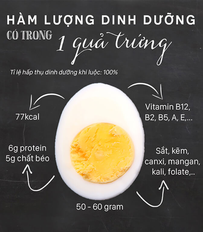 1-qua-trung-co-bao-nhieu-calo-protein (1)